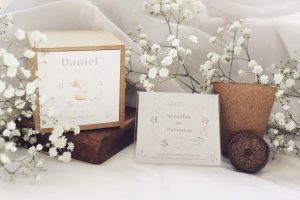 Caja de semillas con maceta