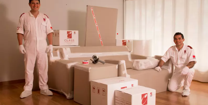 Class international Movers equipo
