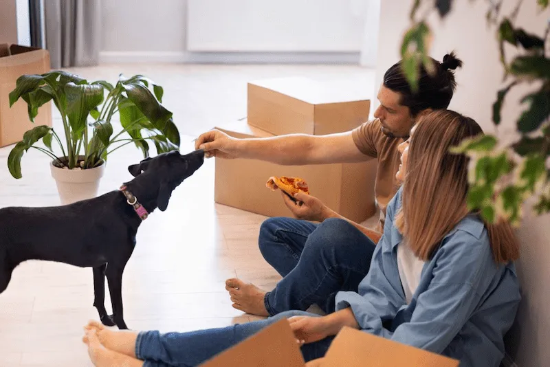 Representación de pareja con mascota en nuevo departamento