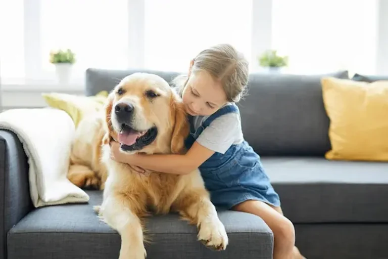 adoptar un perro