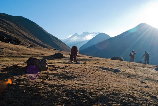 lares paisaje perú