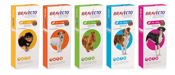 Dosis de bravecto, junto a Frontline es una de los mejores antiparasitarios para perros