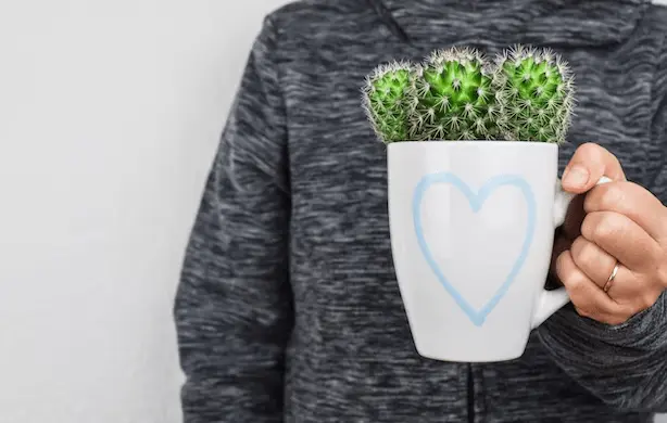 Mano sujetando una taza con cactus