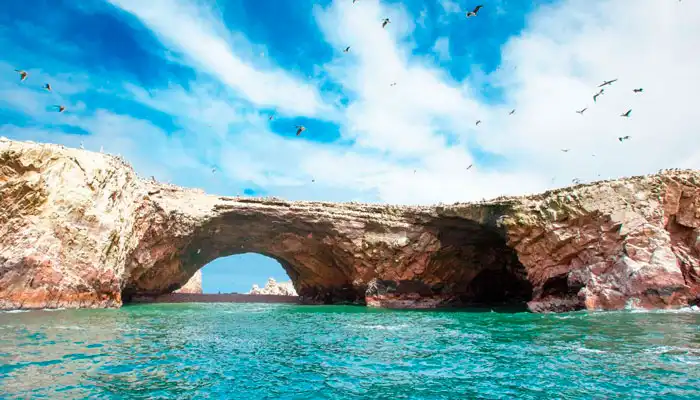 Islas Ballestas y Paracas