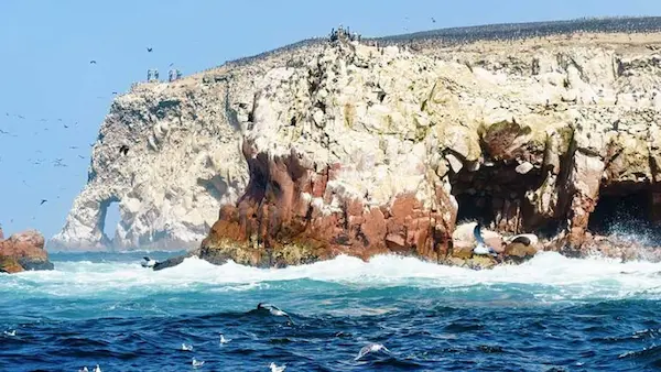  Paracas y las Islas Ballestas