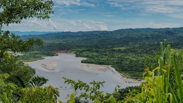 Parque Nacional del Manu