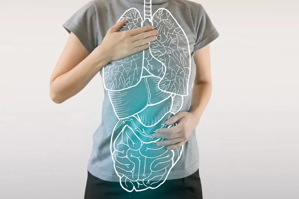 Factores que afectan la homeostasis