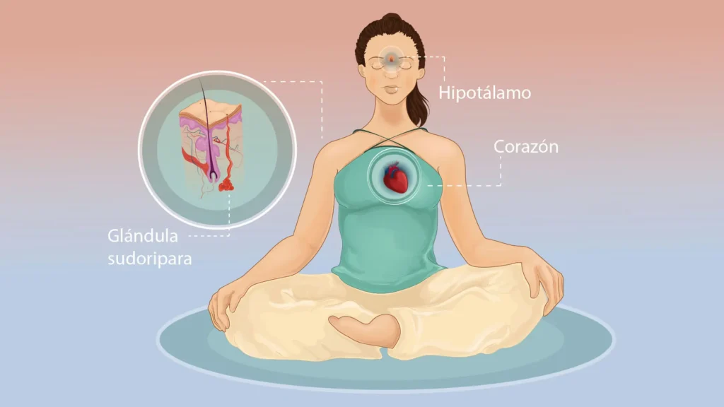 Qué es la homeostasis y por qué es clave para tu bienestar