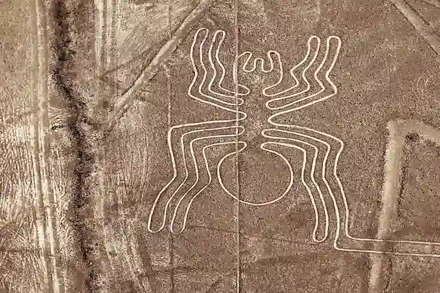 La araña figura nazca