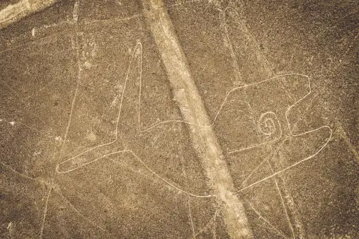 La ballena figura nazca