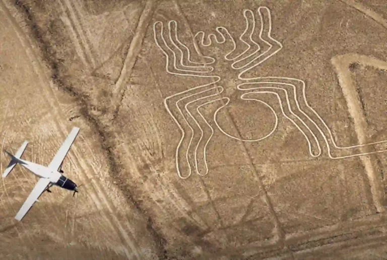 dibujos de las lineas de nazca araña