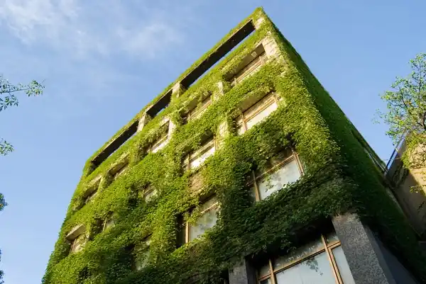 Impacto de la edificación en el consumo energético y las emisiones de carbono