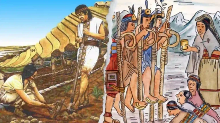 La economía inca desvelada: El sofisticado sistema que sostuvo al gran imperio