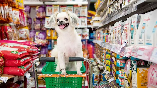 La tendencia creciente de las tiendas para mascotas online