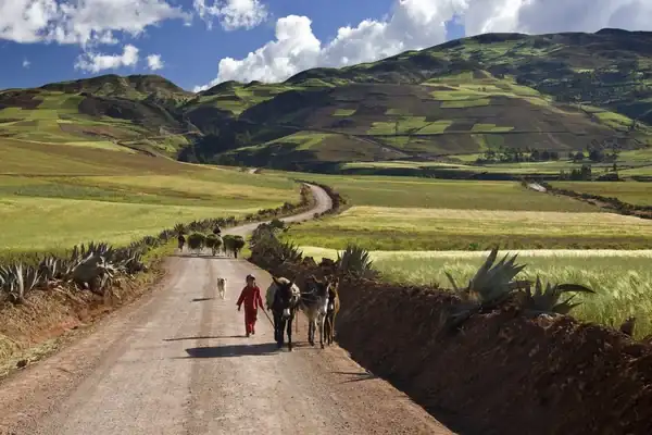 Descubre el Perú auténtico con Andean Road Peru tu puerta a experiencias inolvidables