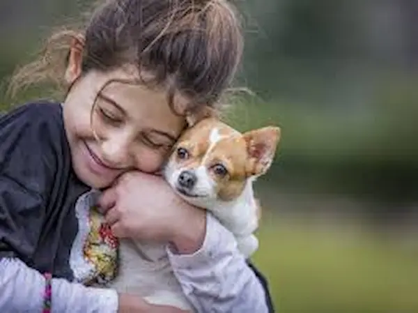 Día del Perro , Qué actividades hacer con tu Mejor Amigo