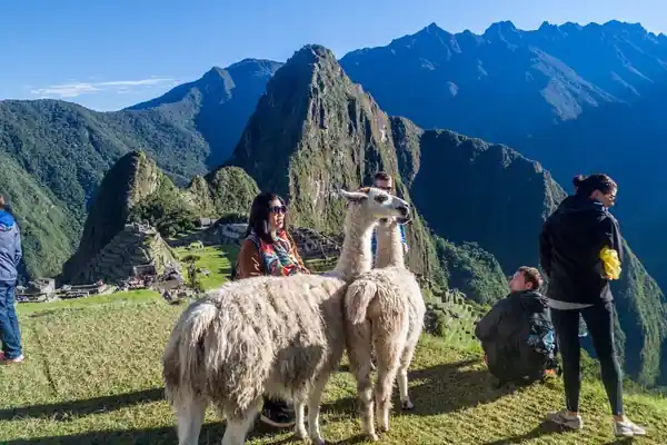 Qué es Andean Road Peru y por qué marca la diferencia en el turismo nacional