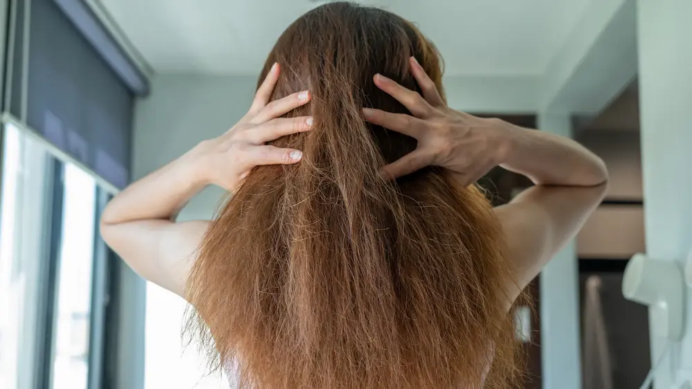 Exclusive Hair Professional 5 tips para controlar el frizz del cabello