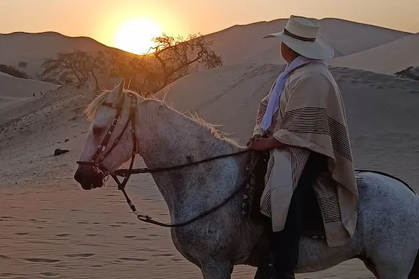 4. lagunas de la huayca y cabalgatas en el desierto