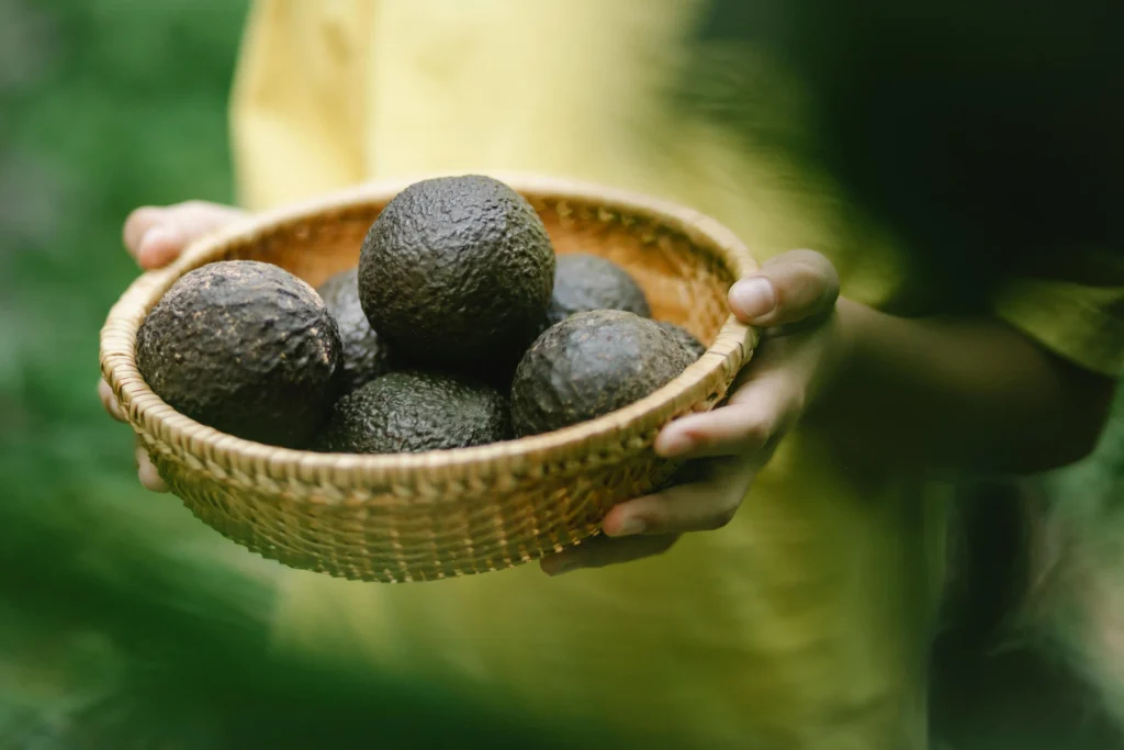 alimentos recomendados