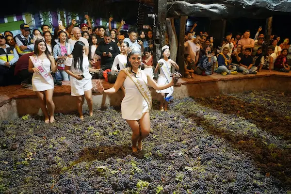 Qué es el festival de la Vendimia de Ica y por qué es tan importante
