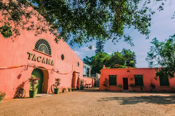 viñedos y bodegas de Ica