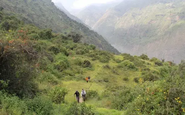 Bosque de Zárate