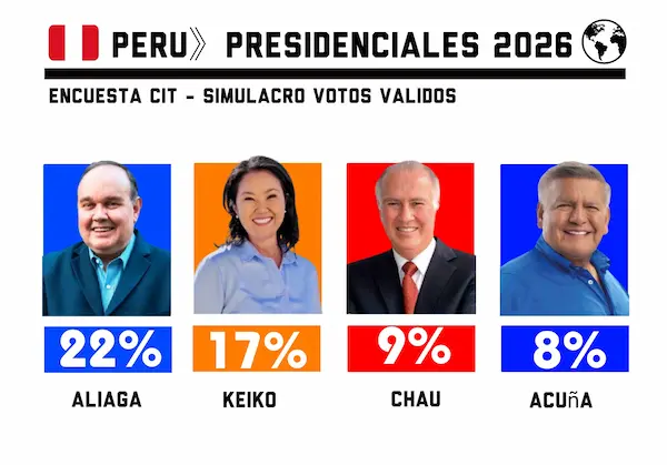 simulacro de votaciones