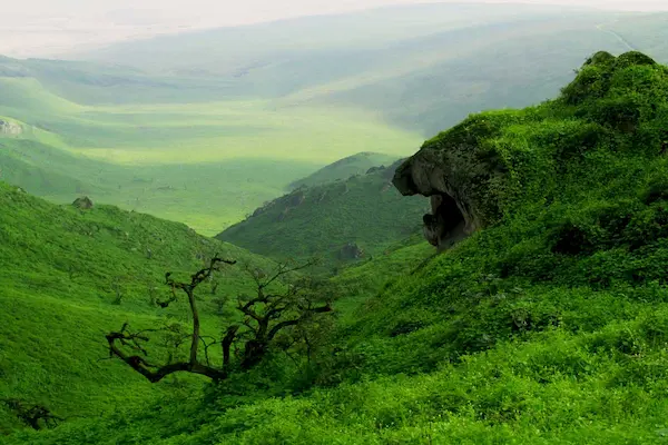 Lomas de Lachay