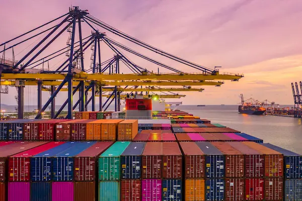 Cómo elegir soluciones logísticas complementarias adecuadas
