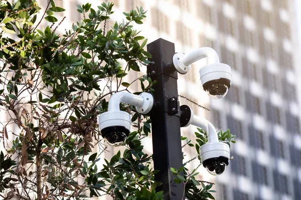 Beneficios de las cámaras análogas y cámaras IP
