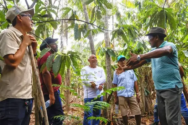 Beneficios de los sistemas agroforestales