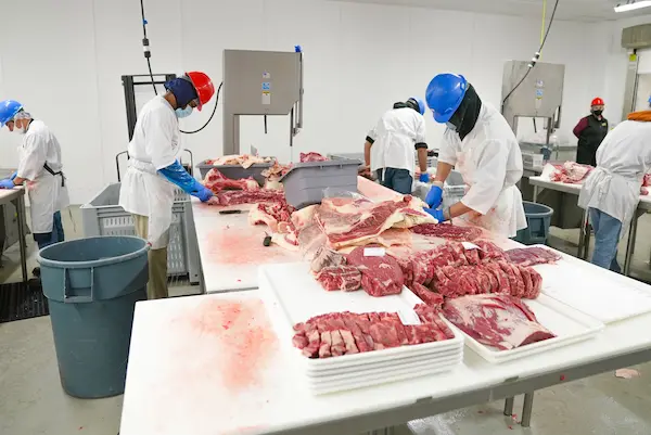 Desafíos y soluciones en la cadena de frío internacional
