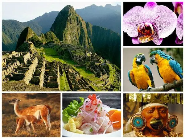 Diversidad cultural en el Perú