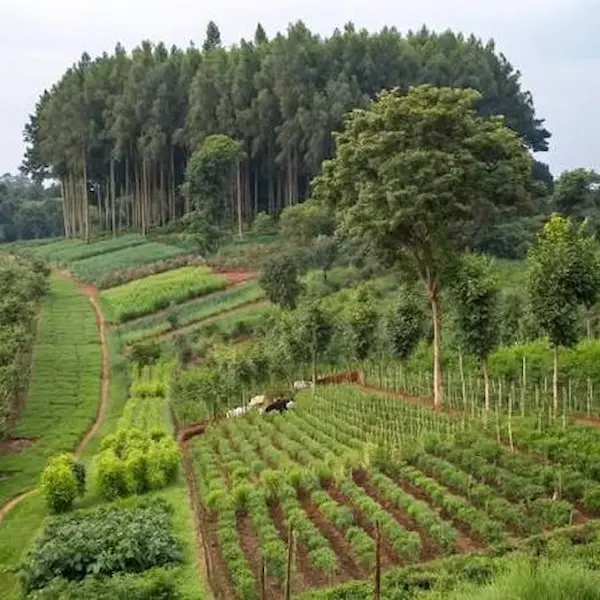 Innovación y materiales en la agricultura moderna