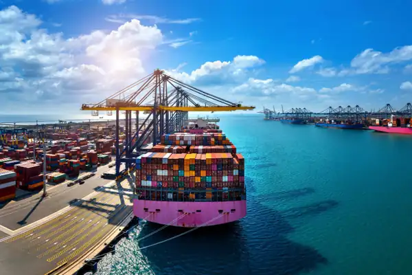 Qué es una importación-guía completa