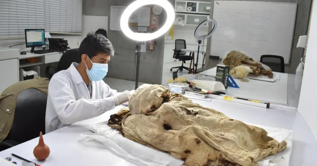 investigacion arqueologica