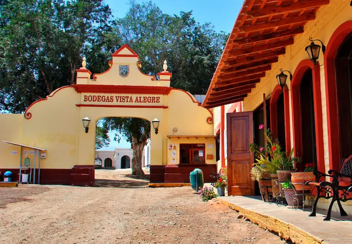 Bodega Hacienda Vista Alegre