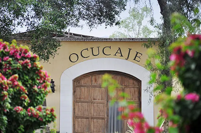 Bodega Ocucaje