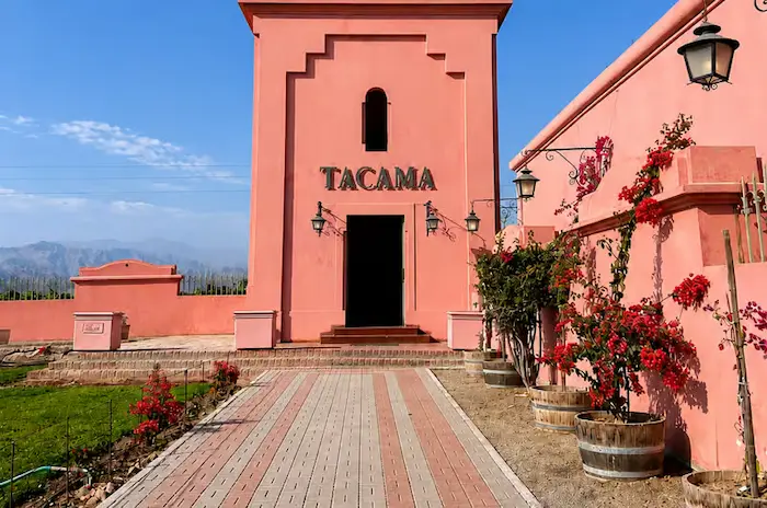 Bodega Tacama