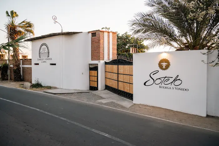Bodega y viñedo Sotelo