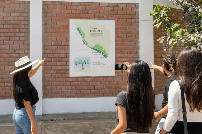 Consejos para realizar una ruta por los viñedos de Ica