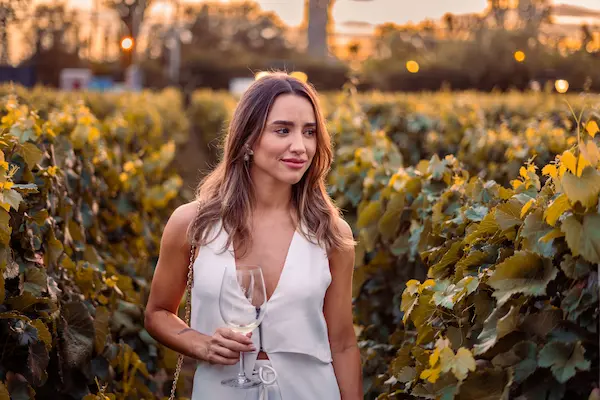 Degustación en viñedos