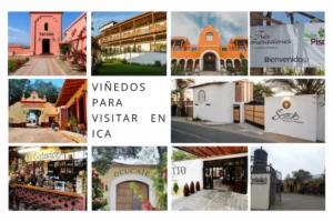 Los 10 mejores viñedos en Ica para visitar