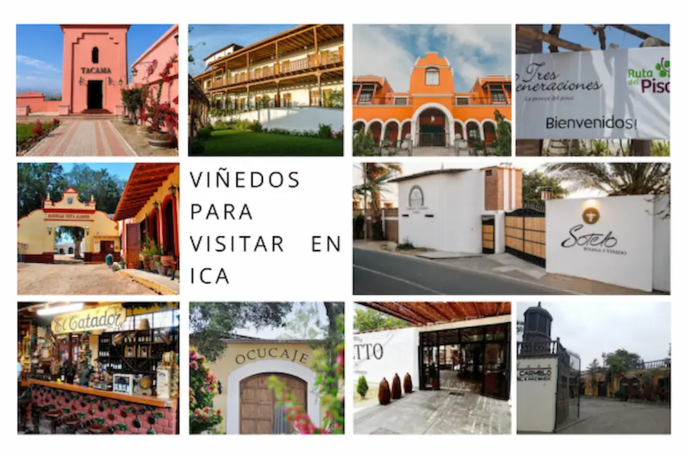 Los 10 mejores viñedos en Ica para visitar