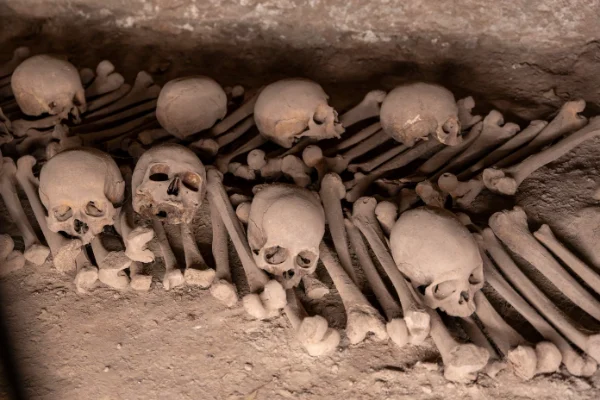 Cráneos y huesos ordenados en las catacumbas del Convento de San Francisco de Lima