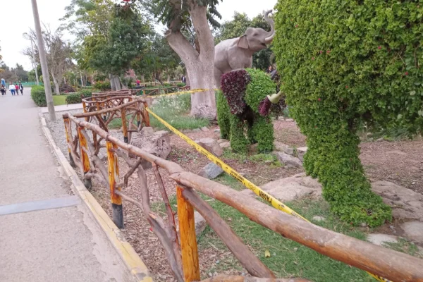 Camino con árboles y figuras de plantas en el Parque de las Leyendas